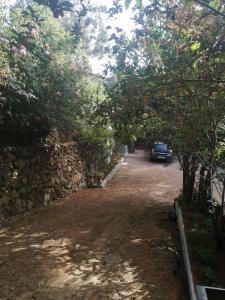 Zdjęcie z galerii obiektu Casa ecologica, autosuficiente en Lomo Blanco, dentro de una casa rodeada de naturaleza w mieście San Juan de la Rambla
