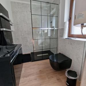 a bathroom with a black toilet and a glass shower at Przystań nad Sanem in Tyrawa Solna