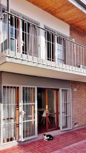 a cat laying on the ground in front of a building at Dúplex Mendoza con chochera techada in Mendoza