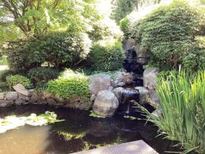 a garden with a pond with a water fountain at Garden room B in West Vancouver