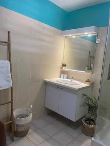 La salle de bains est pourvue d'un lavabo et d'un miroir. dans l'établissement Appartement les pieds dans l'eau, à Sainte-Anne