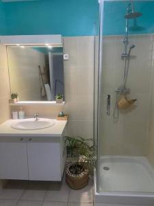 uma casa de banho com um chuveiro, um lavatório e uma banheira em Appartement les pieds dans l'eau em Sainte-Anne