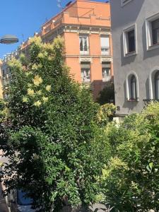 un árbol frente a un edificio alto en maravilloso apartamento zona financiera en Madrid