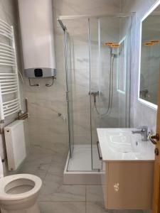 ein Bad mit einer Dusche, einem WC und einem Waschbecken in der Unterkunft Hangjegy Apartman in Debrecen