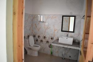 a bathroom with a toilet and a sink and a mirror at Kushu Guest House in Leh