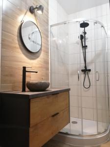 a bathroom with a sink and a shower with a mirror at Apartament Kozigród in Tczew