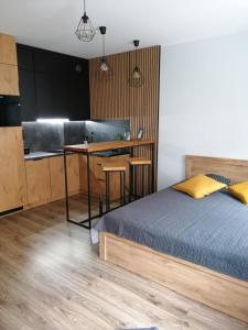 1 dormitorio con 1 cama junto a la cocina en Apartament Kozigród en Tczew
