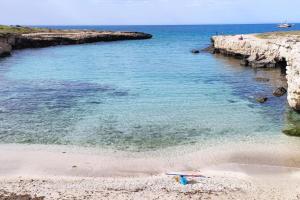 Naturlandskabet i nærheden af feriehuset
