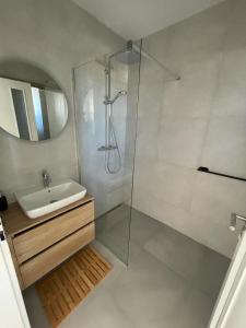 a bathroom with a shower and a sink and a mirror at Meet & Golf in Šajdíkove Humence