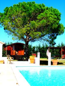 un albero di fronte a una casa con piscina di Gites et Roulottes Du Grand Puits a Saint-Laurent-dʼAigouze