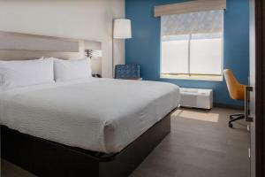 um quarto com uma cama grande e uma janela em Holiday Inn Express - Rocky Mount - Sports Center, an IHG Hotel em Rocky Mount