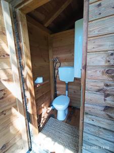 a bathroom with a toilet in a wooden cabin at Ferienhaus_natikrausz 