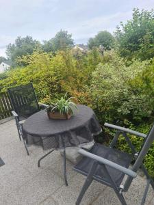 a table and chairs on a patio with a potted plant at Bernsteinglück in Wunsiedel