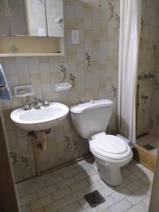 La salle de bains est pourvue de toilettes et d'un lavabo. dans l'établissement Central Park Mendoza, à La Cieneguita