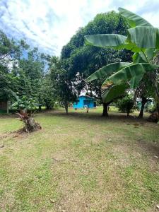 Ein Garten an der Unterkunft Casa de campo entera rodeada de naturaleza en Sarapiquí