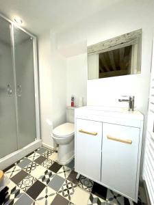 a bathroom with a toilet and a sink and a shower at Studio dans Quartier historique de MOULINS in Moulins