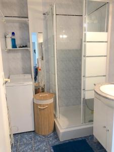 a bathroom with a shower and a sink at Renovated Charming Apt Ideal to visit Paris in Clichy