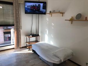 1 dormitorio con 1 cama y TV de pantalla plana en la pared en Appartamento Gio, en Novara