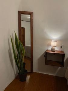 een kamer met een spiegel en een tafel met een plant bij Casa Colibri in Copan Ruinas