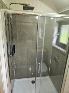 a shower with a glass door in a bathroom at Woodland Shepherds Hut - 'Saga' in Caernarfon