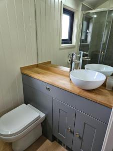 a bathroom with a sink and a toilet and a mirror at Woodland Shepherds Hut - 'Saga' in Caernarfon