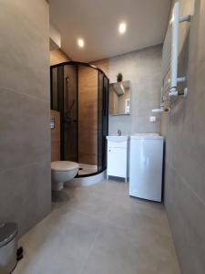 a bathroom with a toilet and a sink and a shower at VIP Centrum Apart in Krakow