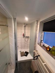 a bathroom with a shower with a sink at DreiländerHeck in Habscheid
