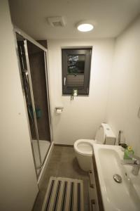 a bathroom with a toilet and a shower and a sink at Ski House Szczyrk - Domek Na Kurzej Łapce in Szczyrk
