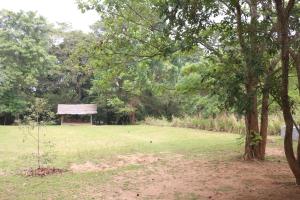 Landskap semula jadi dekat dengan lodge