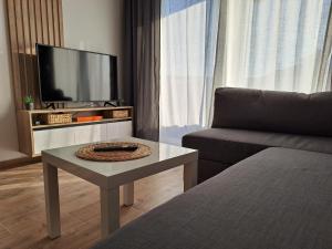 TV a/nebo společenská místnost v ubytování Apartman 64 Lux
