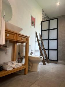 a bathroom with a toilet and a sink and a mirror at Casa Matia Bed and Breakfast in San Miguel de Allende