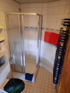 uma casa de banho com chuveiro, WC e toalhas em Meyerhof em Wittenweier