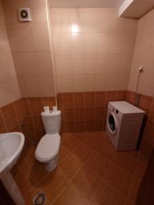 een badkamer met een toilet en een wastafel bij Big apartment in Podgorica