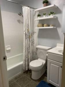 a bathroom with a toilet and a shower curtain at BlueHaven: Your Cozy Lakeside Retreat in Glenn