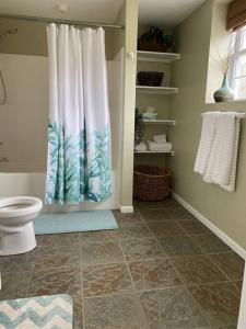 a bathroom with a toilet and a shower curtain at BlueHaven: Your Cozy Lakeside Retreat in Glenn