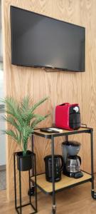 Un televisor de pantalla plana en una pared con una planta en maceta. en Sweet Domus & Terrace Citycenter, en Vila Nova de Famalicão