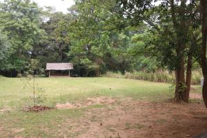 Landskap semula jadi dekat dengan lodge