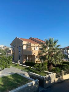 a building with a palm tree in front of it at Ceka Apartments in Ulcinj