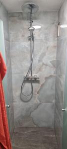 a shower with a shower head in a bathroom at Ferienwohnung am Kirchberg Europa-Park Spassbad-Rulantica-Schwarzwald ,Frankreich, in Ettenheim +39 photos