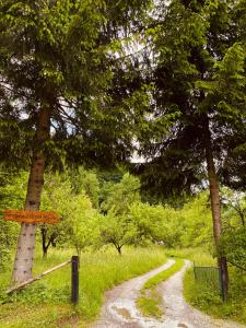 eine unbefestigte Straße neben einem Baum mit einem Schild darauf in der Unterkunft Farmstead Green Haven in Mojkovac