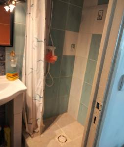 e bagno con doccia e tenda. di Studio meublé centre ville de mer a Mer Altre 2 foto
