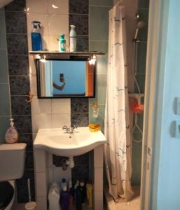 un bagno con lavandino, specchio e doccia di Studio meublé centre ville de mer a Mer