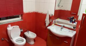 La salle de bains rouge est pourvue de toilettes et d'un lavabo. dans l'établissement Bujtina Rakaj, à Bogë