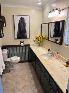 y baño con lavabo, aseo y espejo. en Peaceful & Cozy 3 bedroom Ranch-Home w/Fireplace, en Hemet