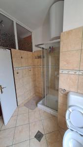 a bathroom with a shower and a toilet at Red blue with private parking and Gray blue apartment in Pula +18 photos