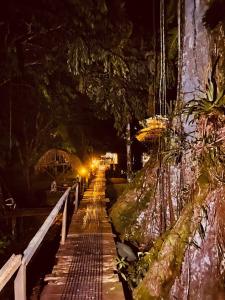 un largo camino en un bosque por la noche en Cuyabeno River Lodge, en Marian