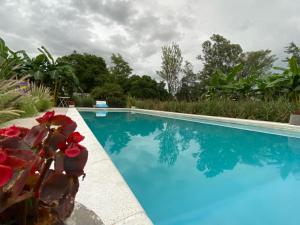 une piscine bleue avec une plante à côté de celle-ci dans l'établissement El Portal de Cerrillos, Hostería de Campo, à Cerrillos