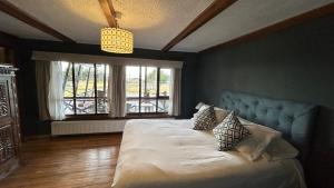 1 dormitorio con cama con almohadas y ventana en Hospedaje Isla Magdalena, en Punta Arenas