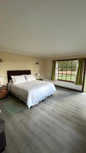 a bedroom with a large bed and a large window at Hospedaje Isla Magdalena in Punta Arenas