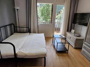 a bedroom with a bed and a television and a table at Estudio en El Tarter GRANDVALIRA in El Tarter